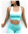Ombre Seamless 2 Piece Set Women Suit Gym Workout Clothes Sport Bra Fitness Crop Top And Scrunch Butt Leggings Yoga Set
